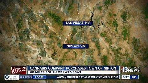 Cannabis company purchases California town