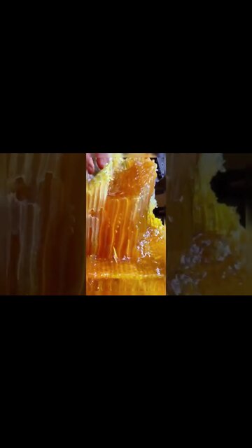 Most Popular video(2)