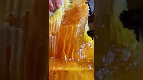 Most Popular video(2)