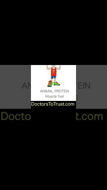 Infographic 5: Fuel your Muscles..Not your Inflammation! Animal Fats and Proteins. #shorts