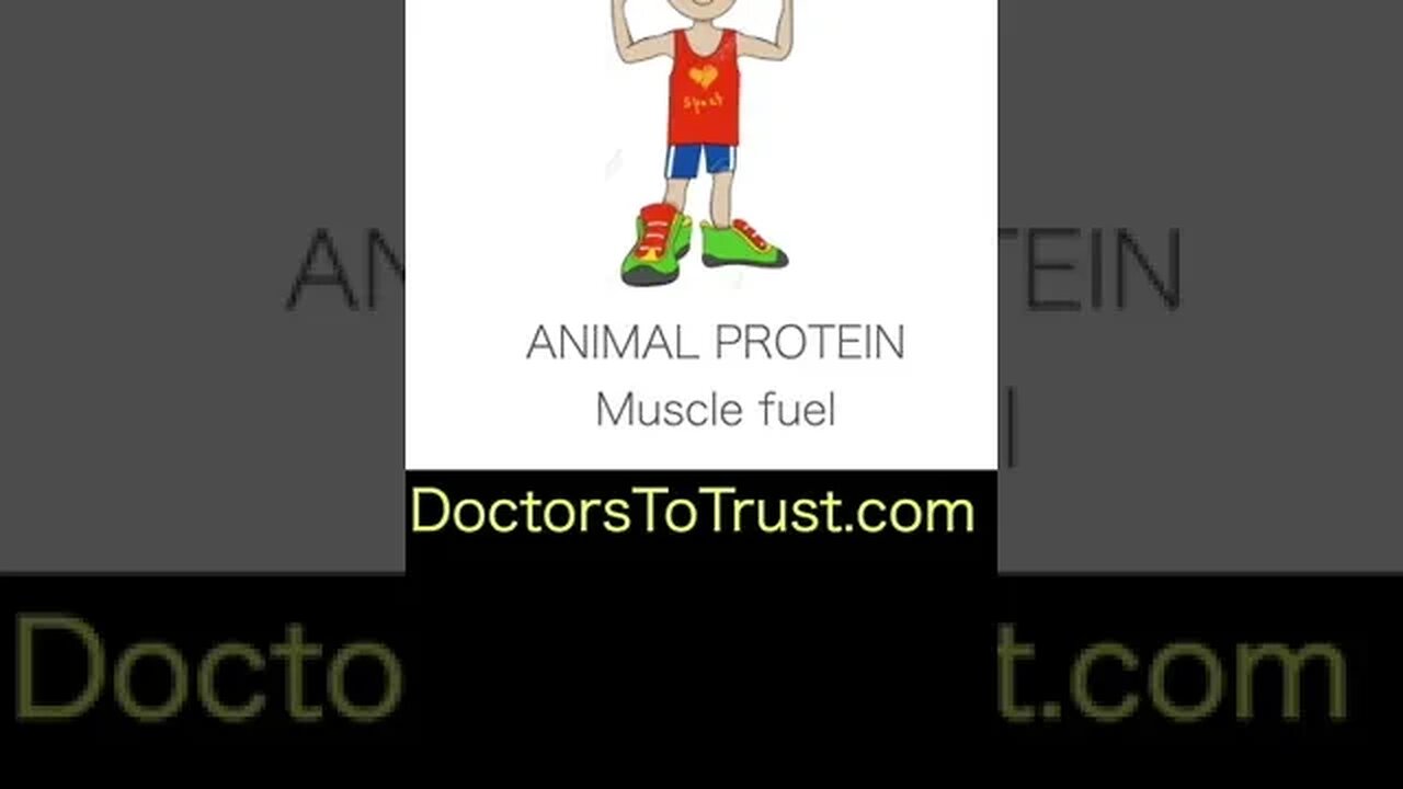 Infographic 5: Fuel your Muscles..Not your Inflammation! Animal Fats and Proteins. #shorts