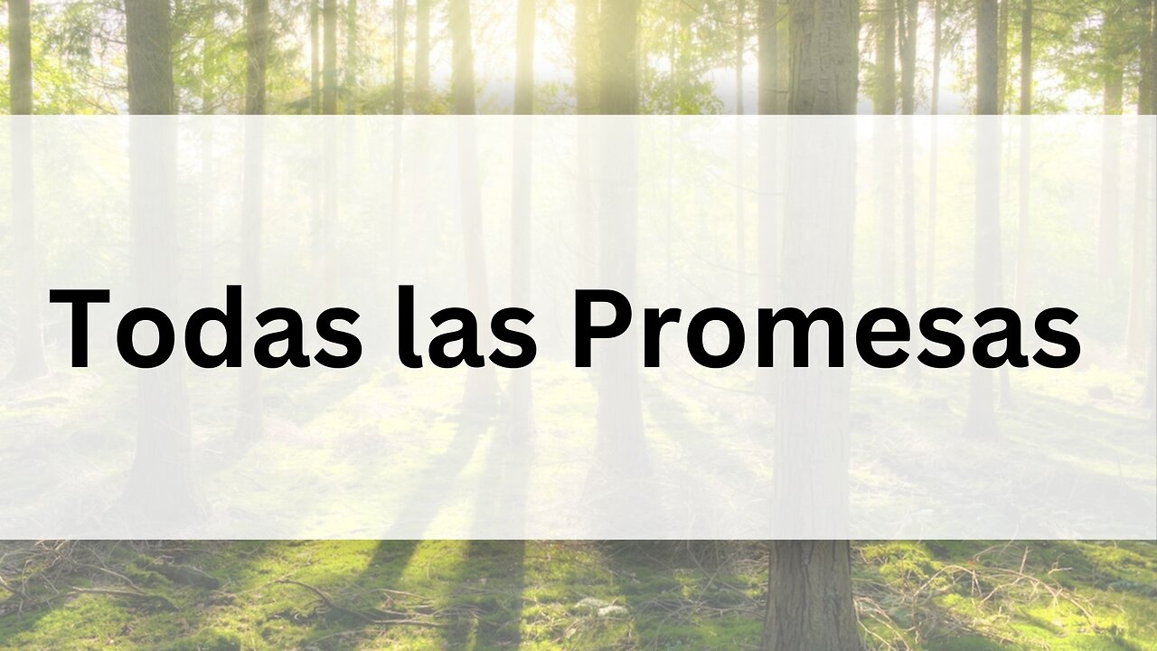 Todas las Promesas | Canta Junto | Música Cristiana Instrumental