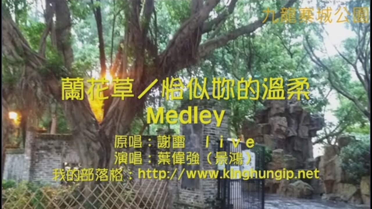 《葉偉強》 蘭花草/恰似妳的溫柔Medley
