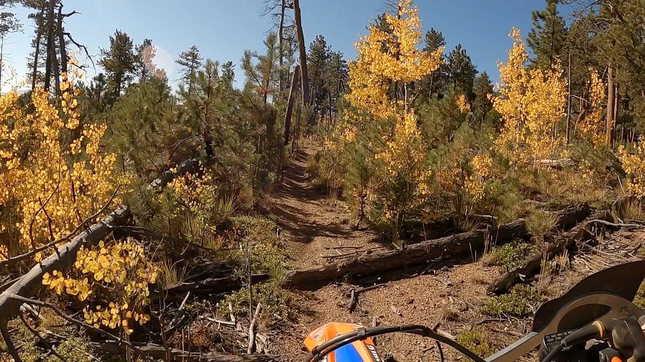 2021 Fall Colors Singletrack ride - Part 1