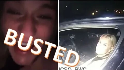 18-Year-Old Girl Claims She Blew a "3.8" and Avoided a DUI by Flirting with the Cop!