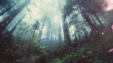 Relax with the Soothing Sleep Sounds of Wind Blowing Through Trees 🌬️🌳🌿