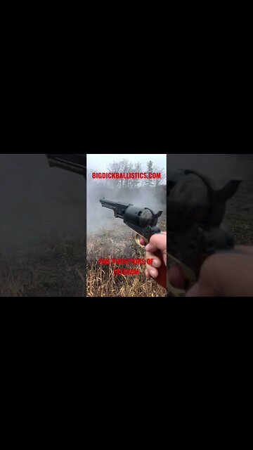 .44 cap & ball Whitneyville Dragoon from Dixie Gun Works