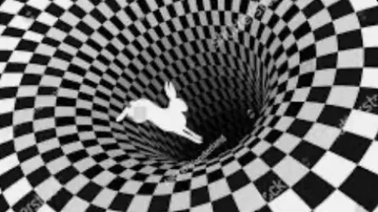 MUST WATCH: let’s play rabbit hole 