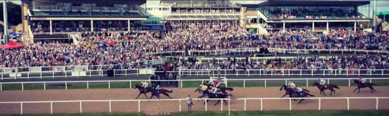 Horseracing uk #newcastle Races #newmarket #curragh