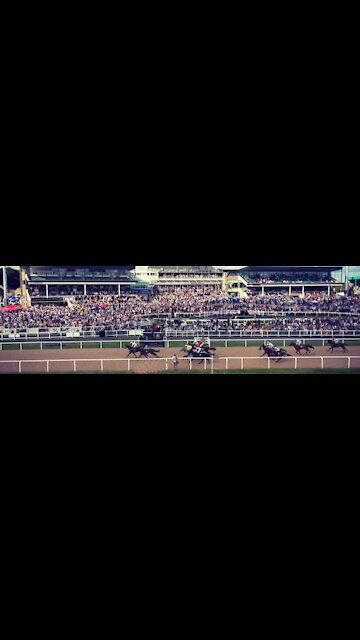 Horseracing uk #newcastle Races #newmarket #curragh