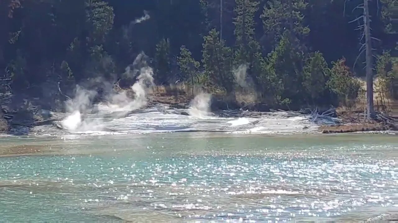 Yellowstone National Park's Norris Geyser Basin