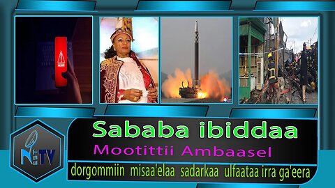 ETHIOPIA:NEST:TV:Sababa ibiddaa/dorgommiin misaa'elaa sadarkaa ulfaataa irra ga'eera/