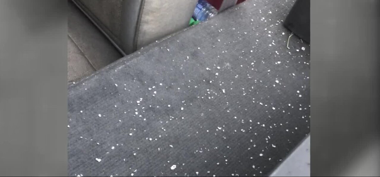 What is that? Snowflakes in Las Vegas