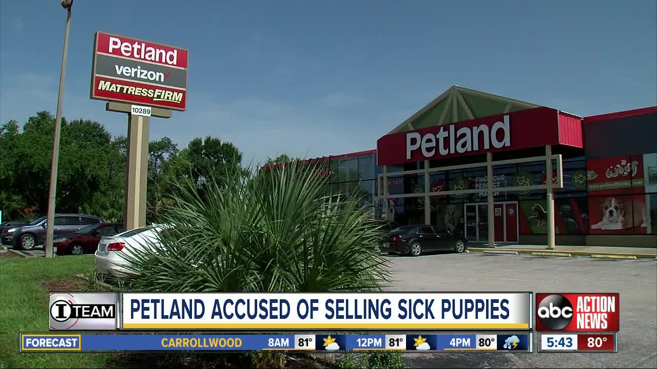 Petland vows action after complaints of delayed, denied vet bill payments