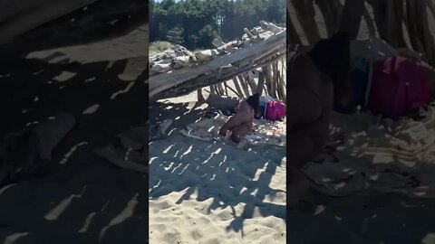 Me and my Girlfriend on a Desert Island