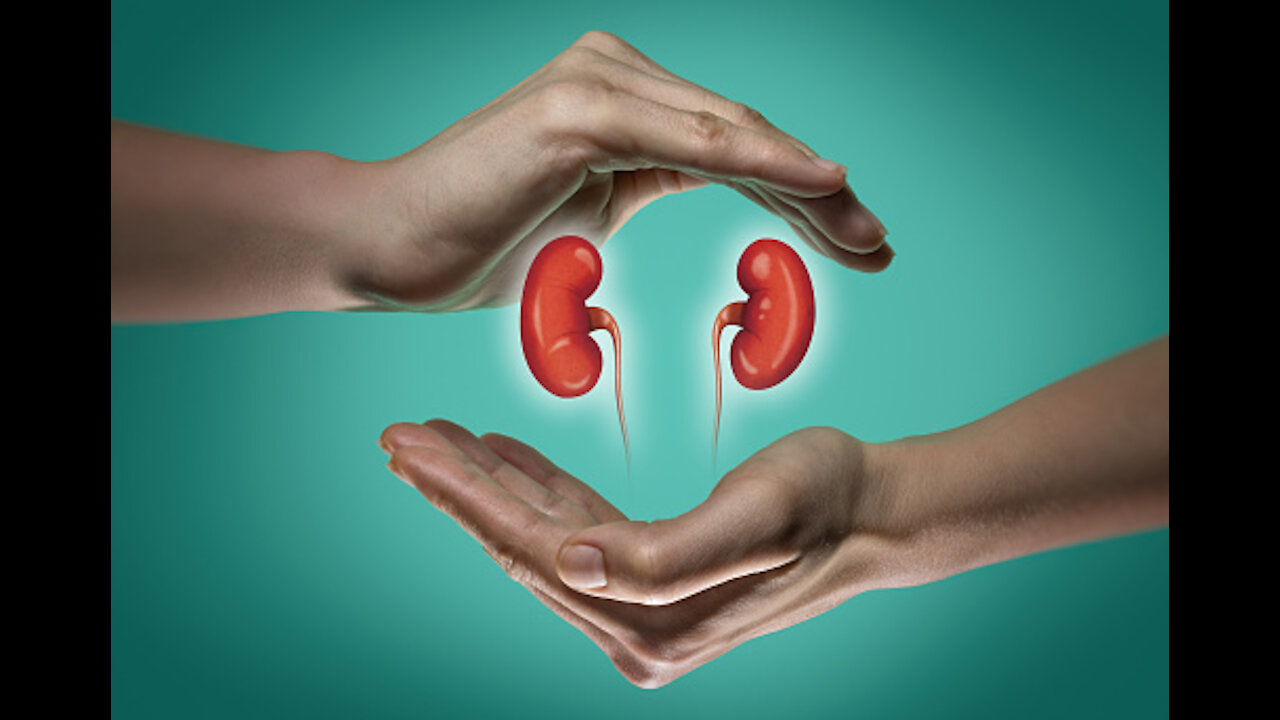 causes of kidney disease