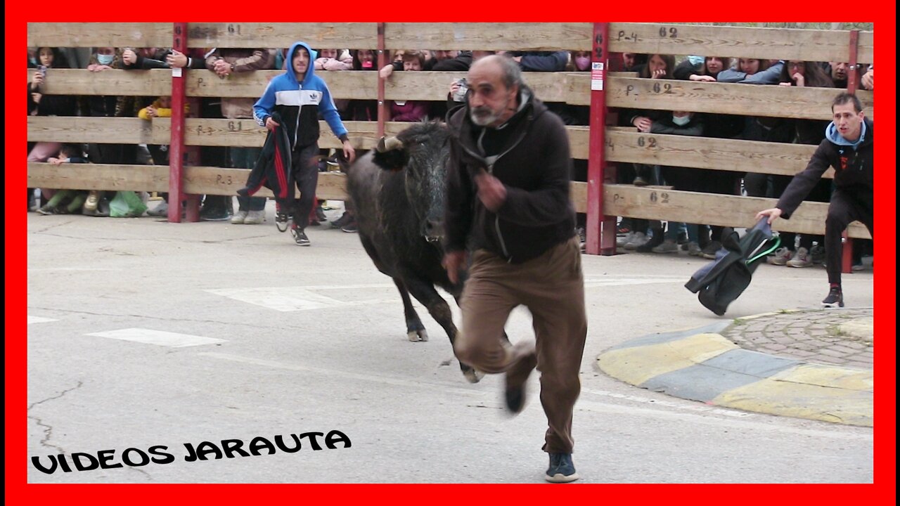 FUNES ( NAVARRA ) TARDE VACAS EN CALLE ( SÁBADO 19 MARZO 2022 ) ENRIQUE DOMINGUEZ