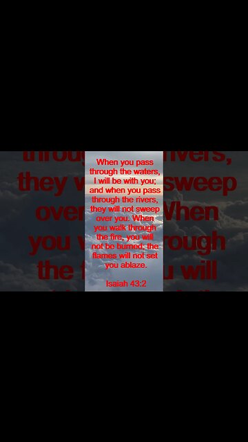 Verse of the day | Inspirational Reading To Start Your Day. | 81