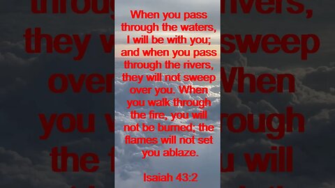 Verse of the day | Inspirational Reading To Start Your Day. | 81