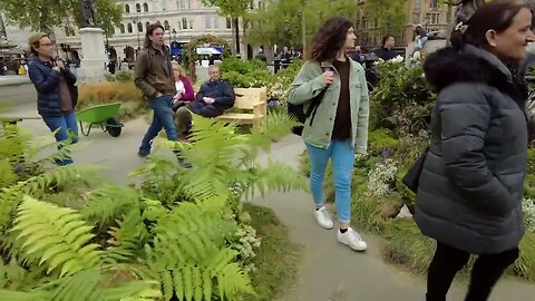 Why was Trafalgar Square turned into a Meadow?