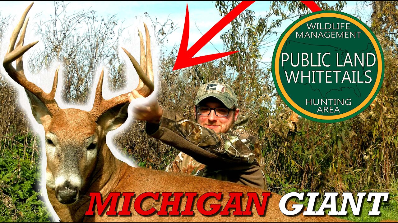 Michigan Giant Down | Nice Big Michigan Buck | Cold Front Bucks