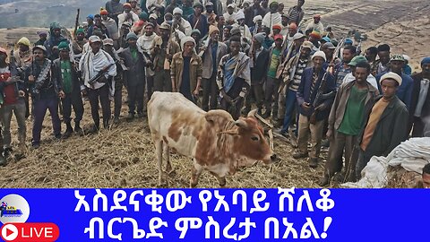 አስደናቂው የአባይ ሸለቆ ብርጌድ ምስረታ በአል