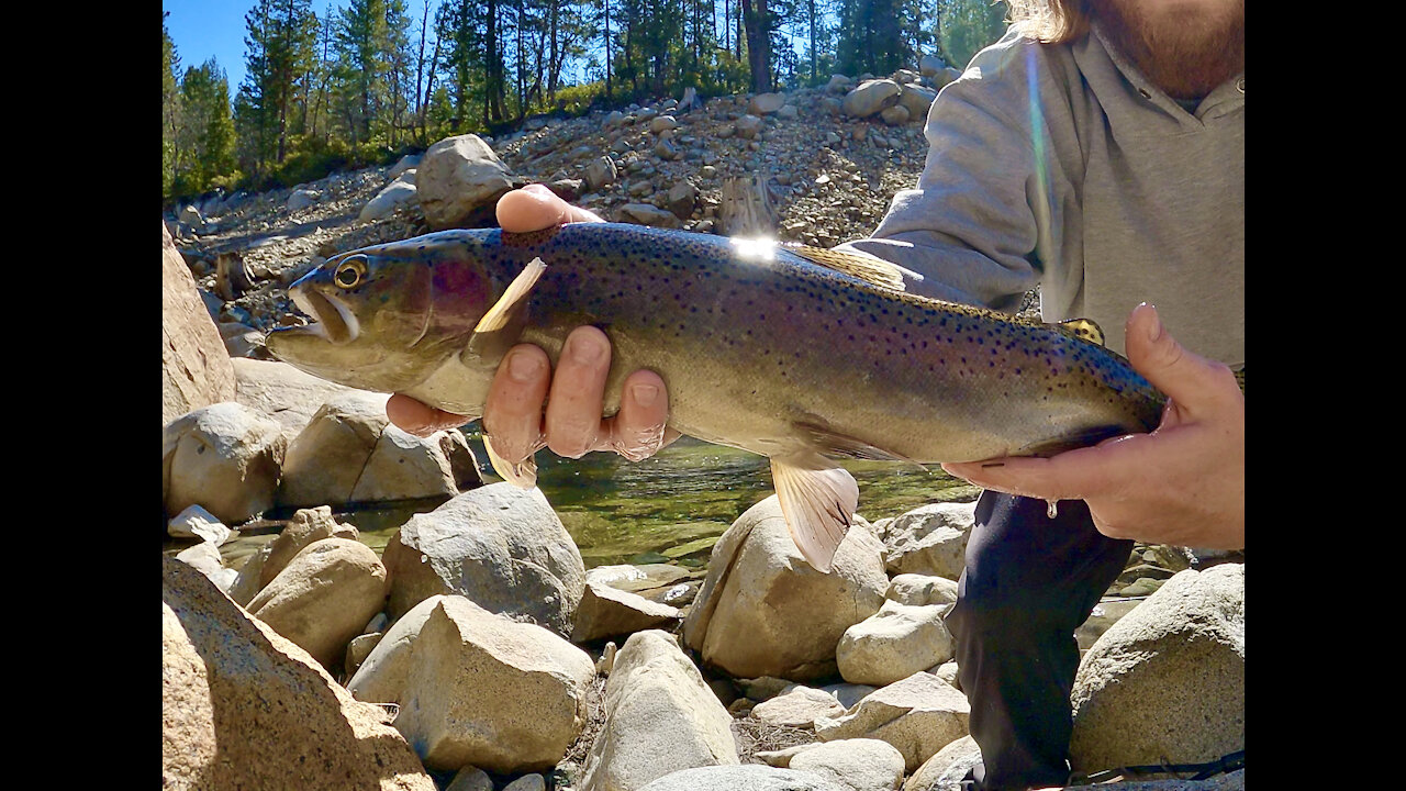 HIKING and FISHING in TAHOE NATIONAL FOREST (MONSTER CATCH)