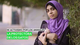 Mi activismo por los animales: La protectora de los gatos