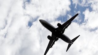 Fights on planes on the rise