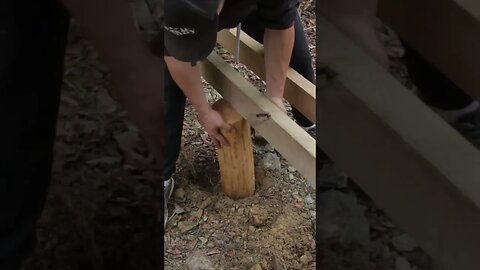 Bushcraft solo #camping #bushcraft #survival #building Part - 1