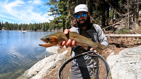 Central Idaho: Alpine Cutthroat