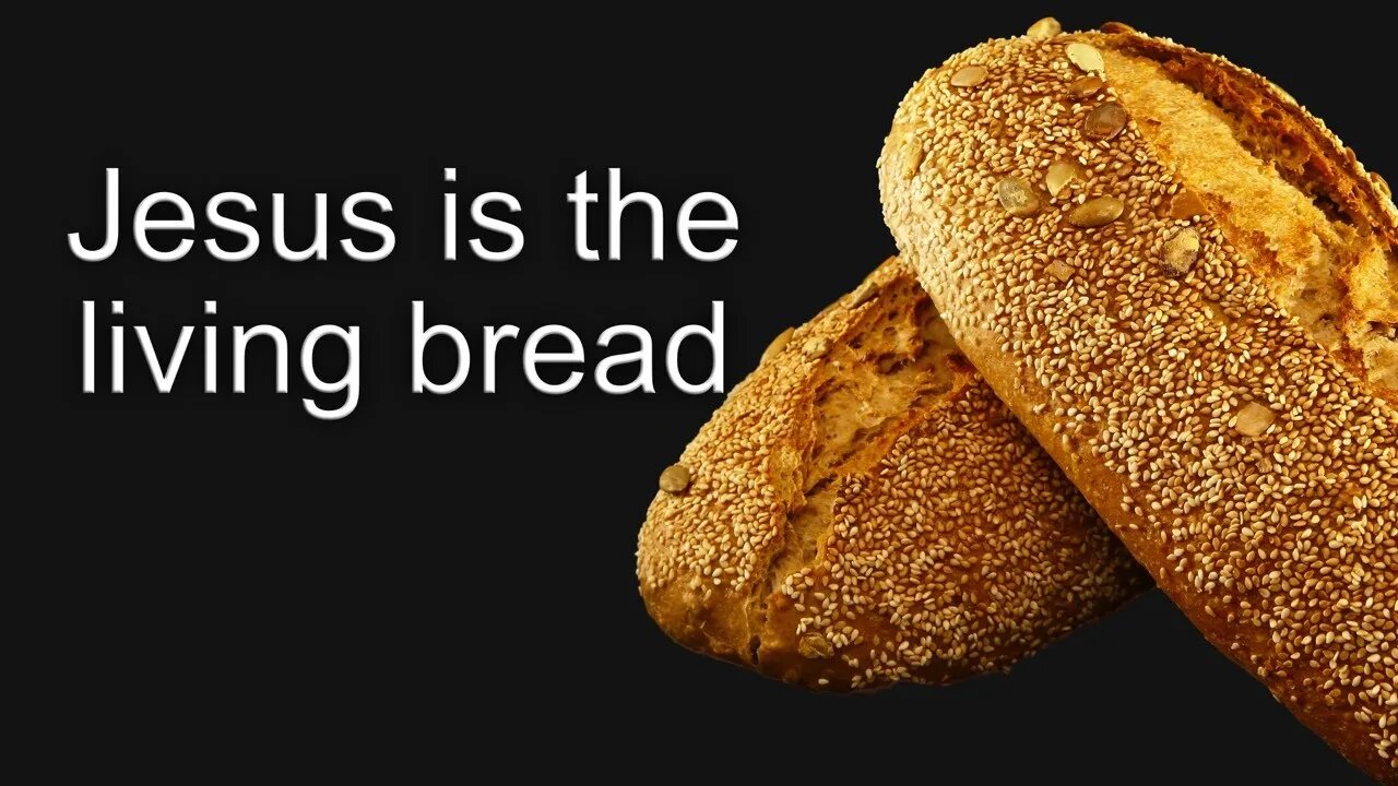 Jesus is the living bread (John 6:41-59)