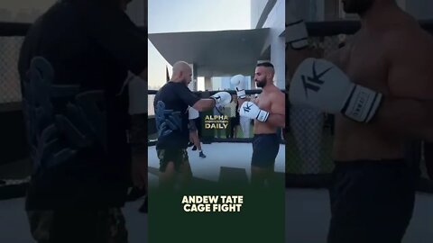 Andrew Tate cage fight DUBAI Sparing #topg #andrewtate