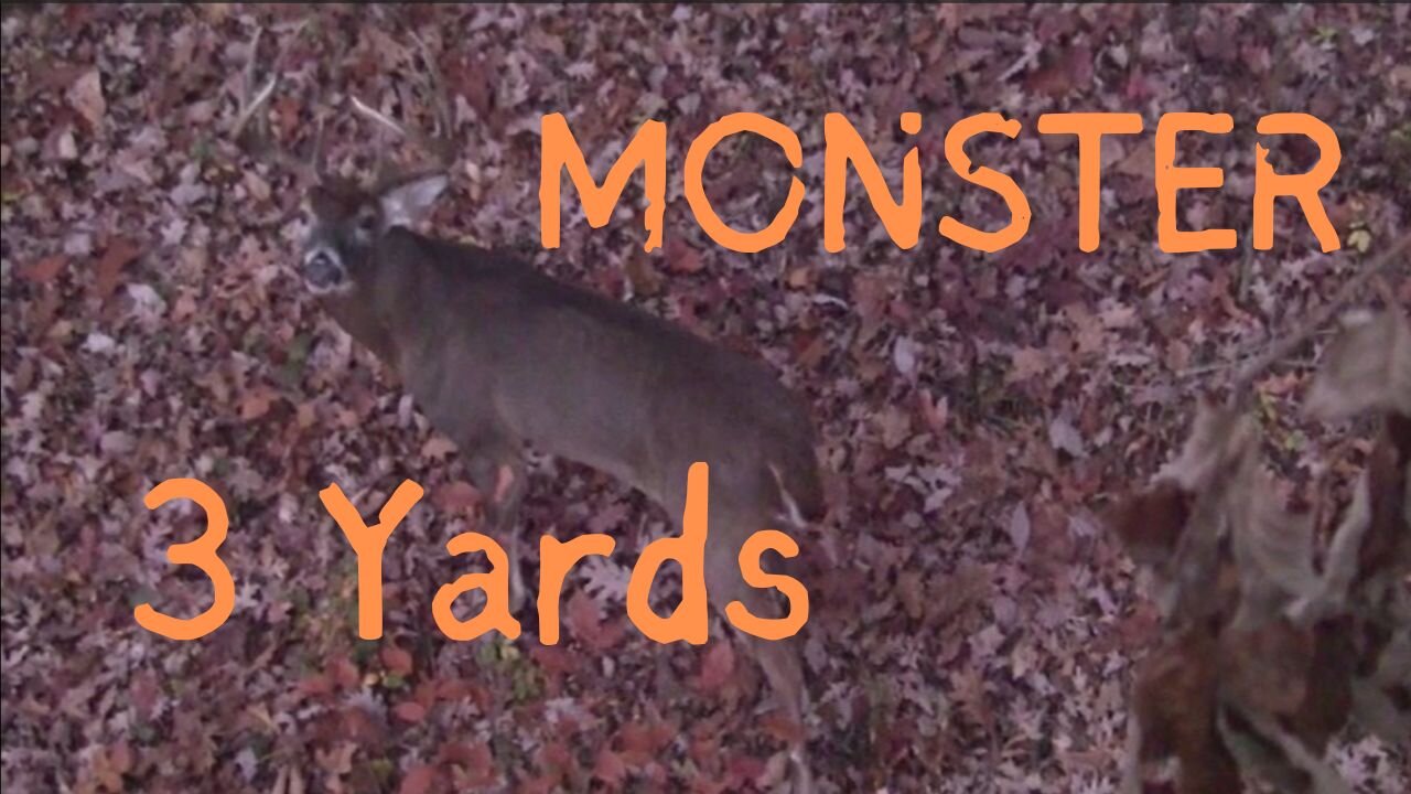 MONSTER at 3 yards!!!