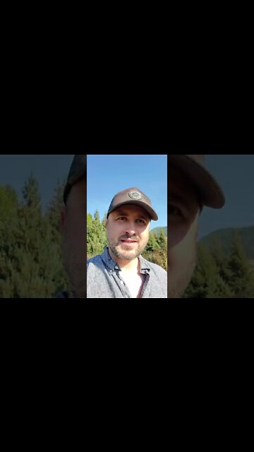 FREEFROMITALL DISCORD AND NEXT 2 PLAYS INFO (SHORT)