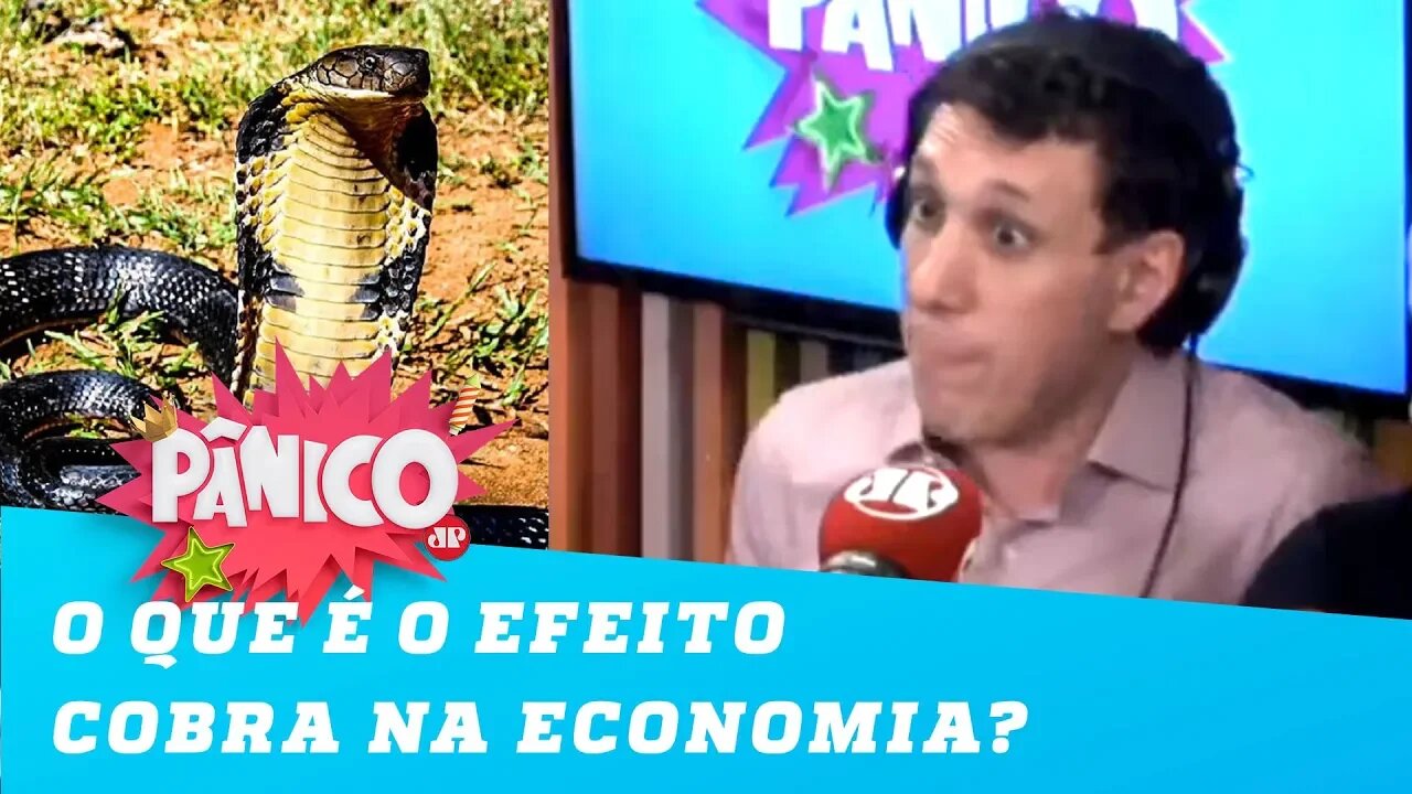 Samy Dana fala sobre canetadas e efeito cobra na economia do Brasil