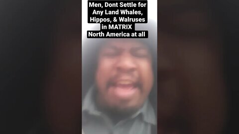 Men, Dont Settle for Any Land Whales, Hippos, & Walruses in MATRIX North America at all