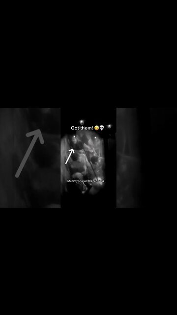 Has this gotten you?? 🙈🌎🧟‍♂️ #shorts