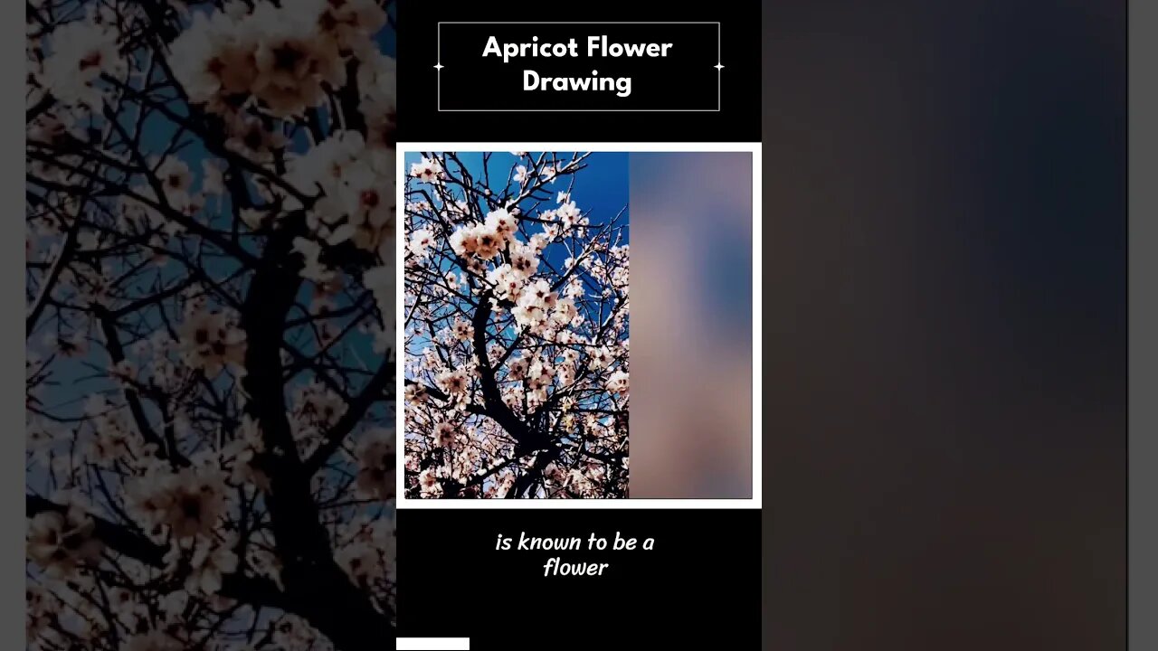 Apricity latin for the warmth of sun in winter-exposed to the sun