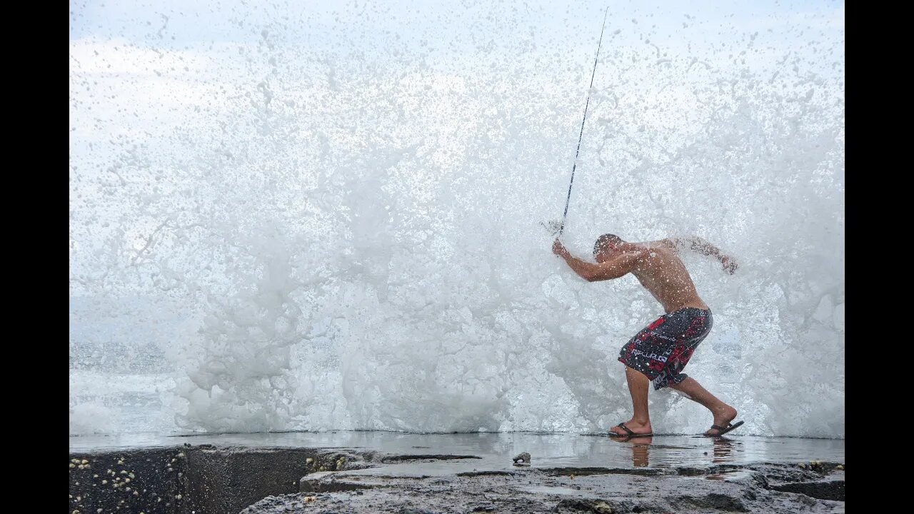 Olympic Pool Of Drool