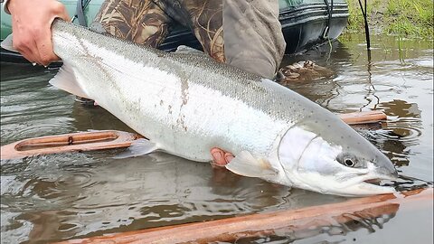 The Most EFFECTIVE Way to Catch a Steelhead!