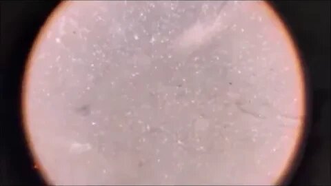RE EDIT w Original Audio ENGLISH TRANSLATION GRAPHENE VERSACE BRIGHT CRYSTAL Real Time