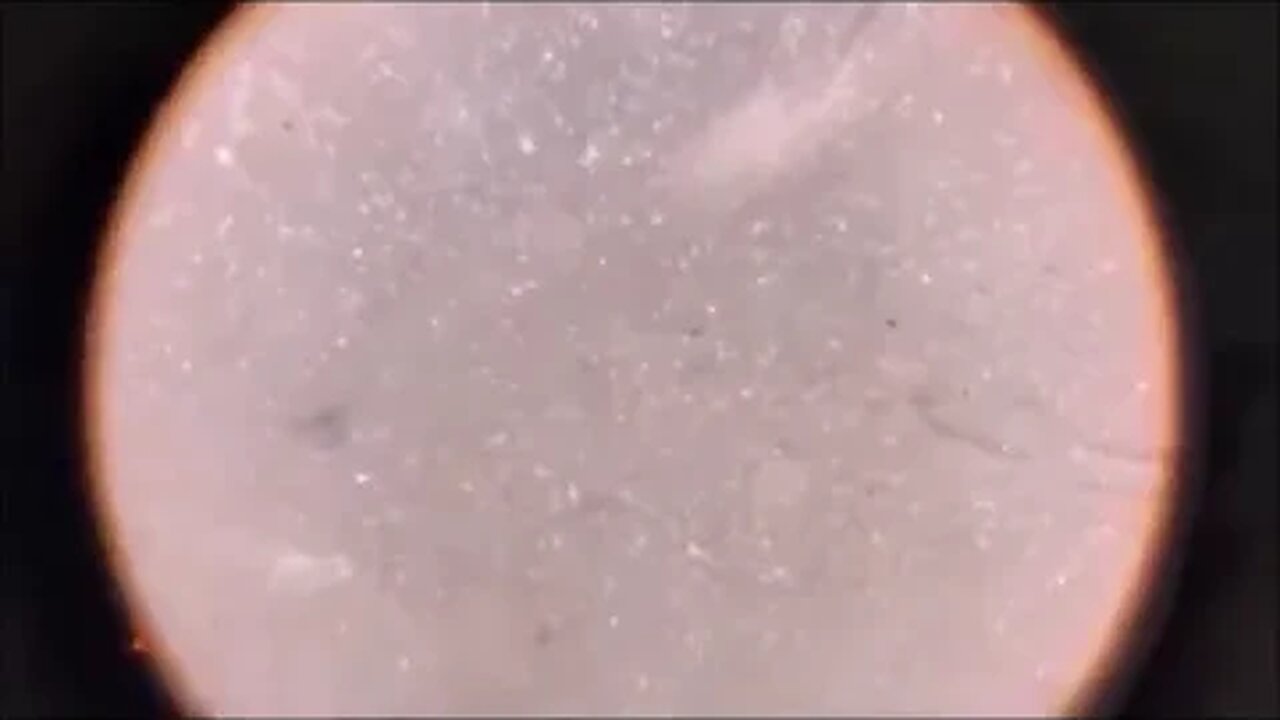 RE EDIT w Original Audio ENGLISH TRANSLATION GRAPHENE VERSACE BRIGHT CRYSTAL Real Time