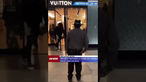 Security watches Louis Vuitton store get robbed