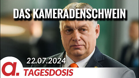 Orban, das Kameradenschwein | Von Rüdiger Rauls