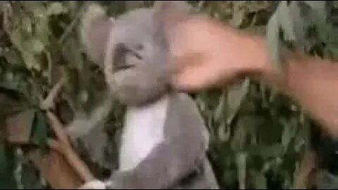 This One Time at Band Camp w pixie n dis