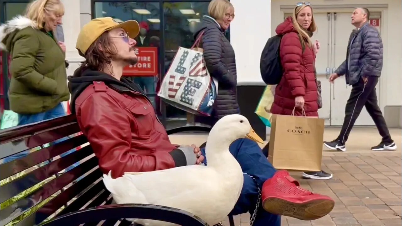 Duck Goes To The Mall - What Happens Next May Surprise You