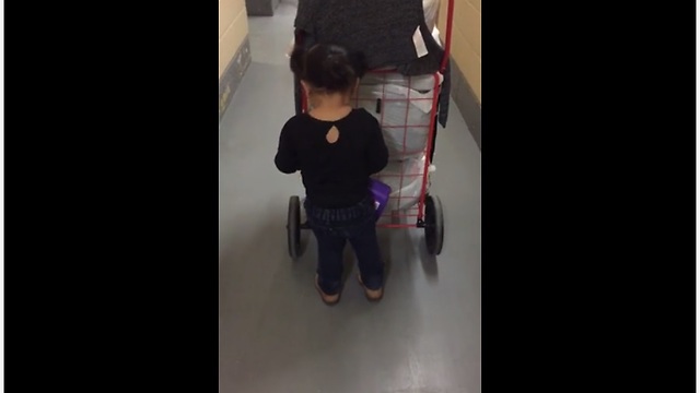 Helpful 2-Year-Old Loves To Go Shopping