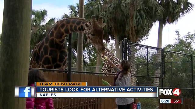 Cold has tourists avoiding beaches, hitting zoo