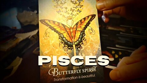 Oracle Messages for Pisces | So. Many. Butterfly Cards for You! Life Changes & You Are a Champion ;)